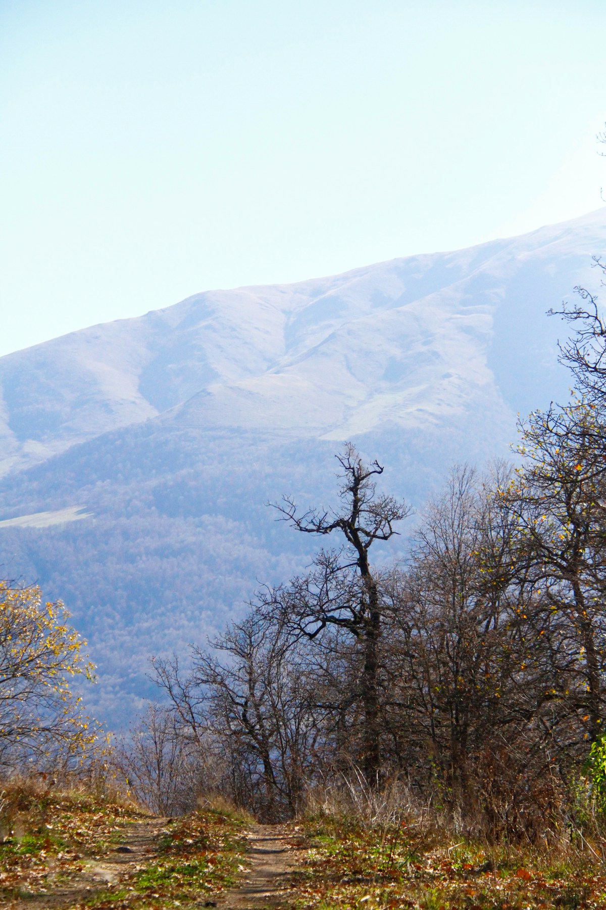 The forested hills and autumn colours of Dilijan National Park, Armenia